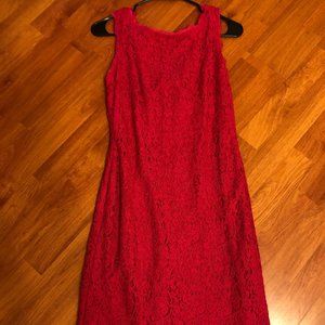 Pink Lace Formal Dress Adriana Papell